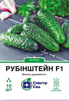 Огірок Рубінштейн F1 10 шт, СС 2392 фото