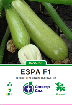 Кабачок Езра 5 шт, СС 1173 фото