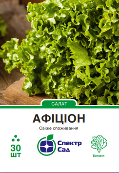 Салат Афіціон 30 шт, СС 0619 фото